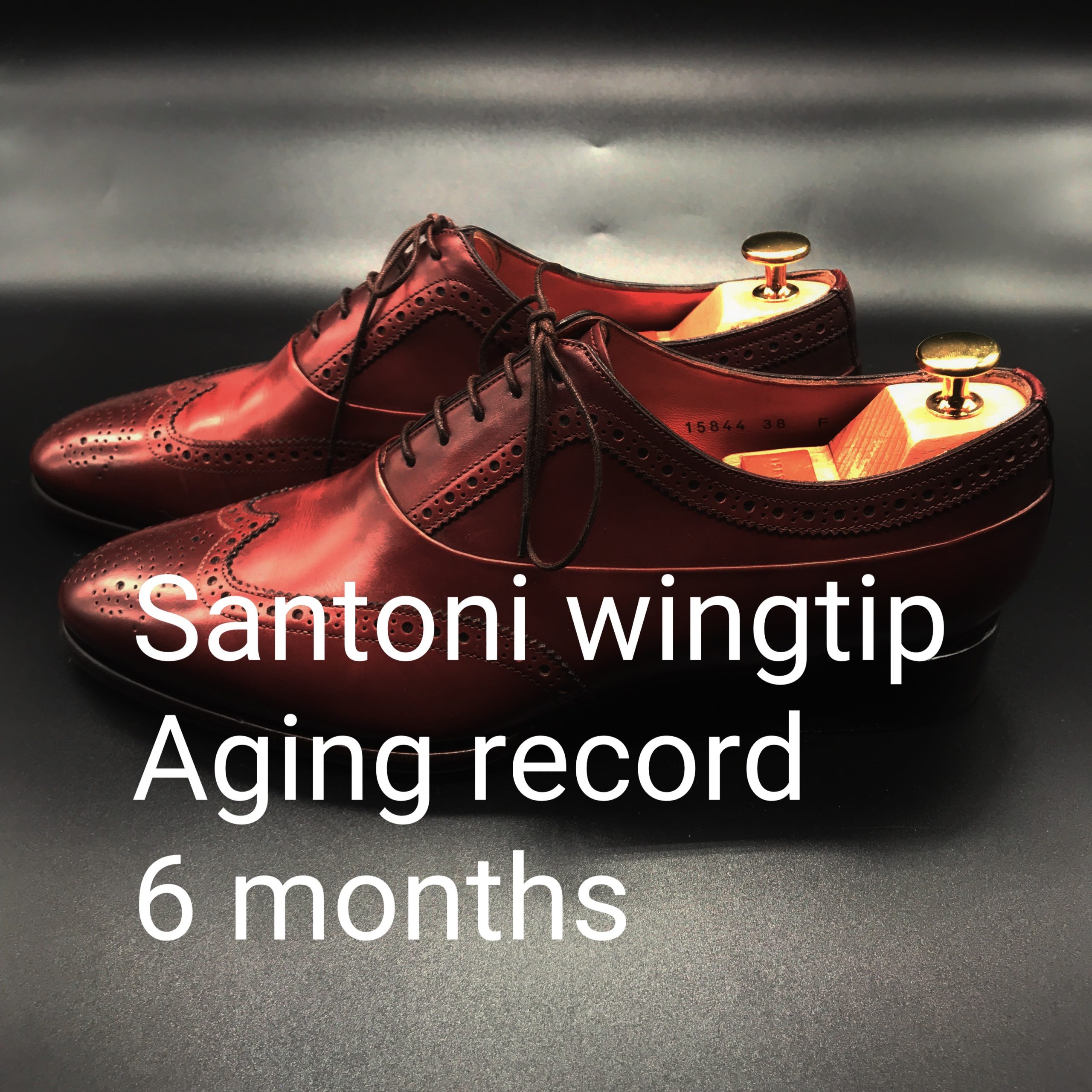 Santoni（サントーニ）ウイングチップ エイジングレコード 6ヶ月 | Lab.