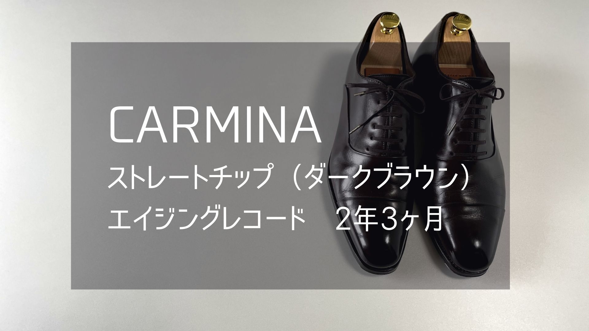 CARMINA  9.5(28.0㎝)ストレートチップ　ダークブラウン