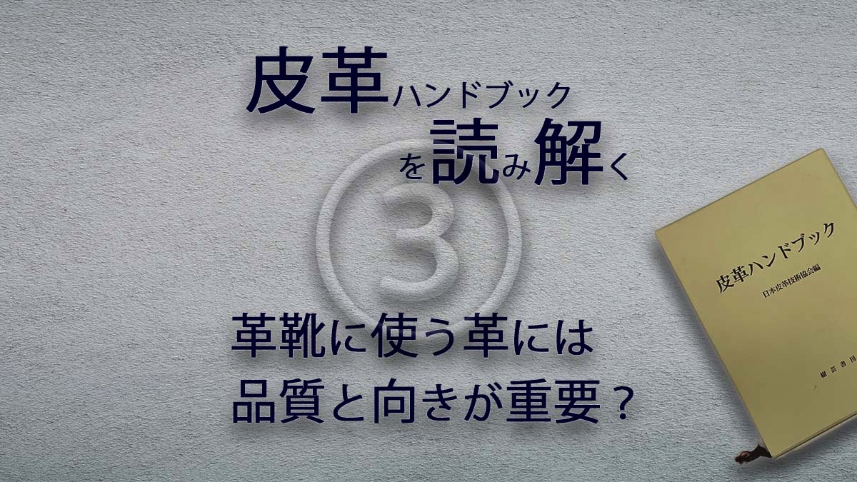 皮革ハンドブックを読み解く③ 〜革靴に使う革の品質と向き〜 | Lab.